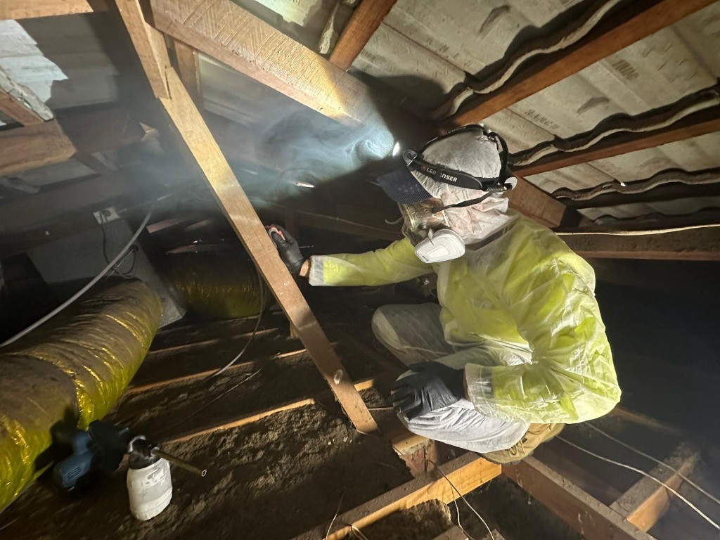 Fix4U technician inspecting roof void timber framing for termites in Perth