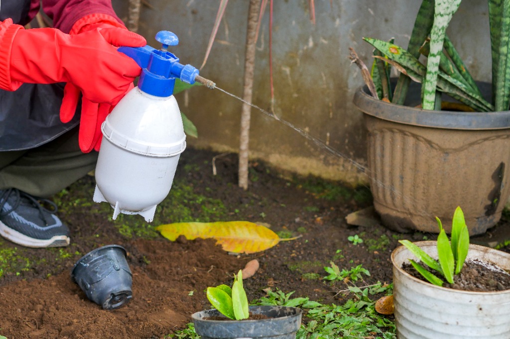 Termite reticulation underground pipe refill and perimeter spray Perth