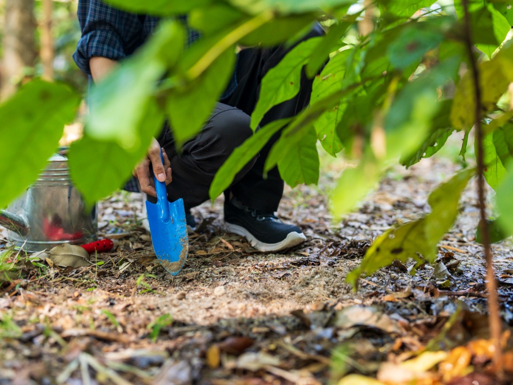 Termite perimeter soil barrier and trenching in Perth